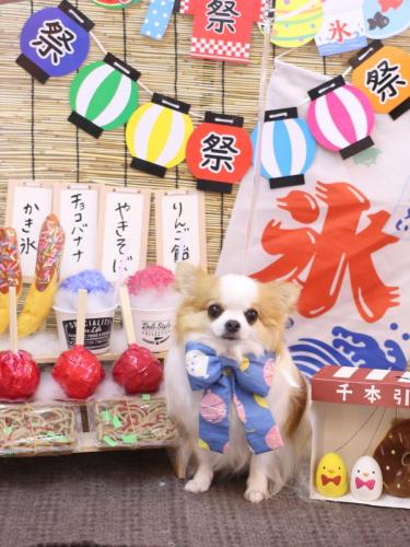 20240719りくくん